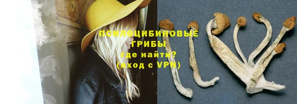 прущие крисы Балахна