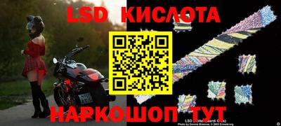 шишки Берёзовский