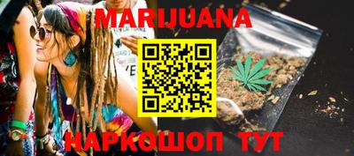 сатива Бийск