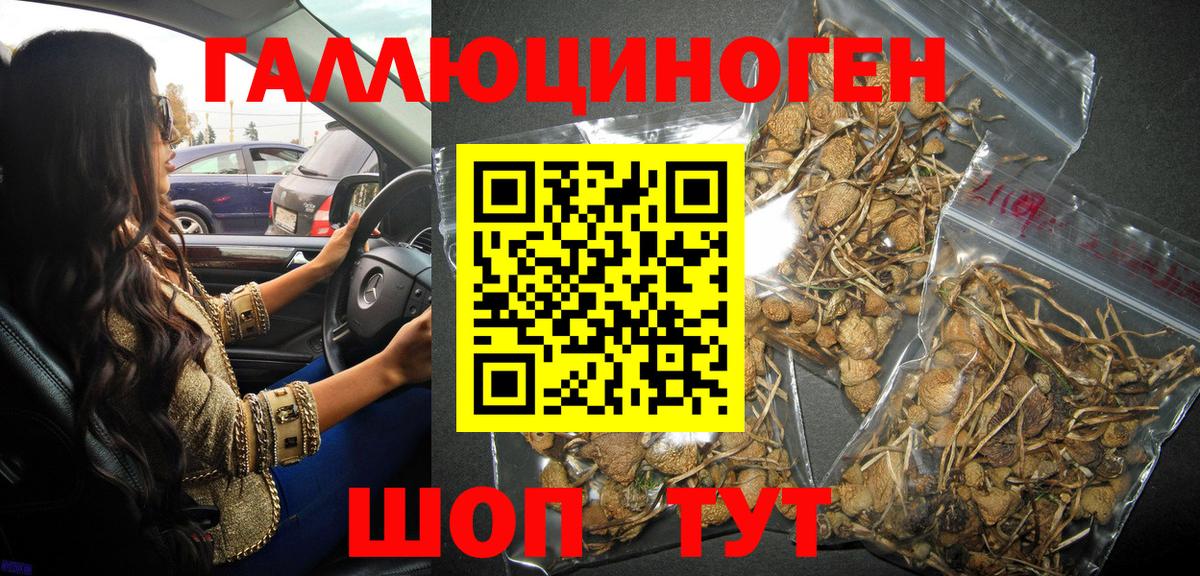 цена   Вход с VPN  Бузулук  Псилоцибиновые грибы Magic Shrooms 