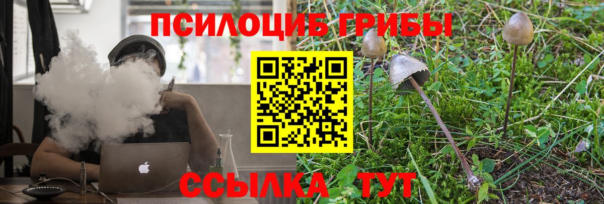 Галлюциногенные грибы GOLDEN TEACHER Бузулук
