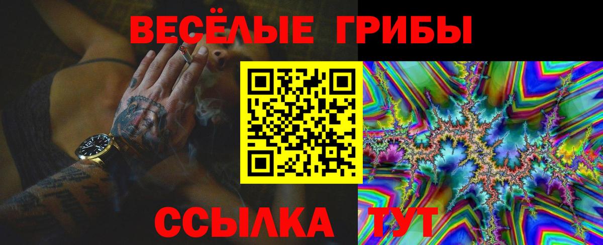 A-PVP Бузулук