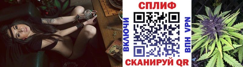 где найти   Бузулук  Бошки Шишки ГИДРОПОН 